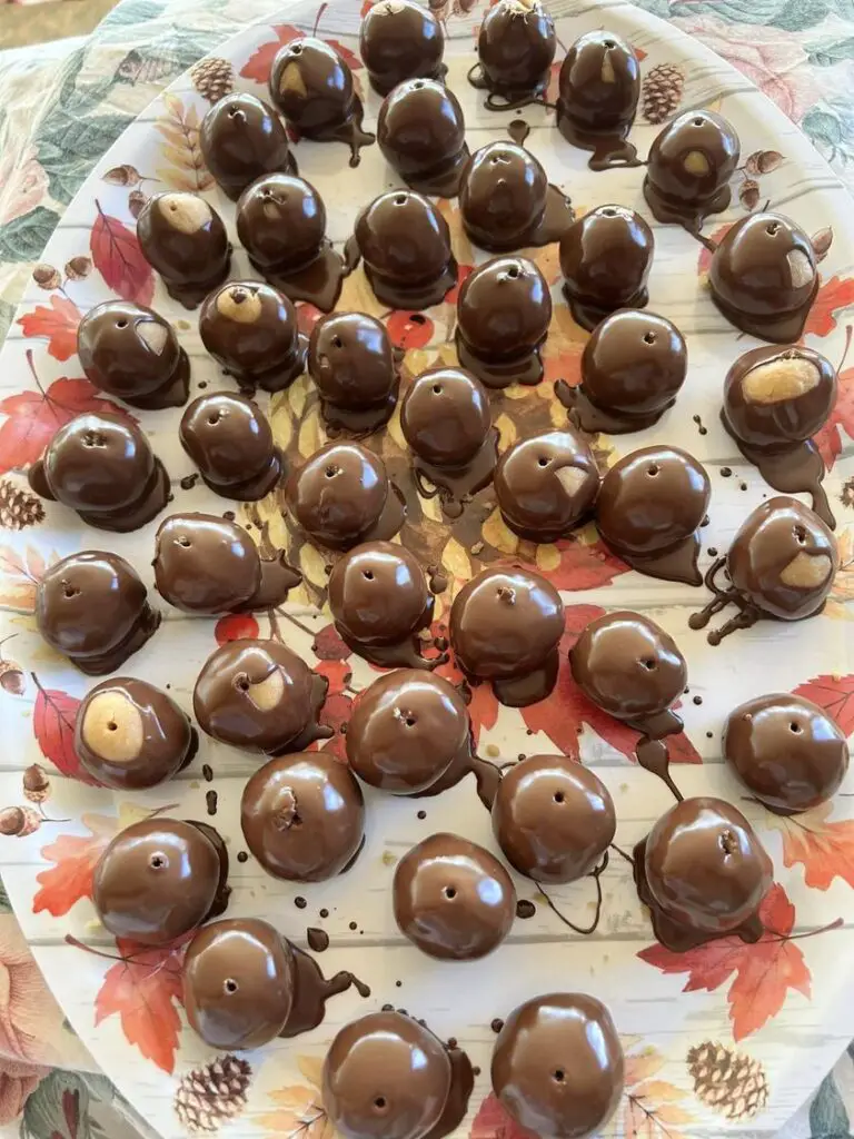 Chocolate Peanut butter balls