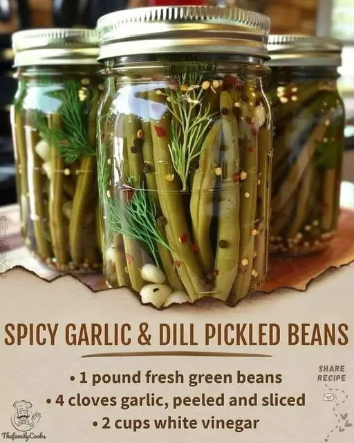 Spicy Garlic & Dill Pickled Beans