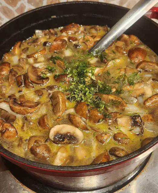 Hungarian mushroom soup