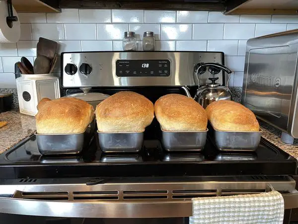 sourdough sandwich loaves