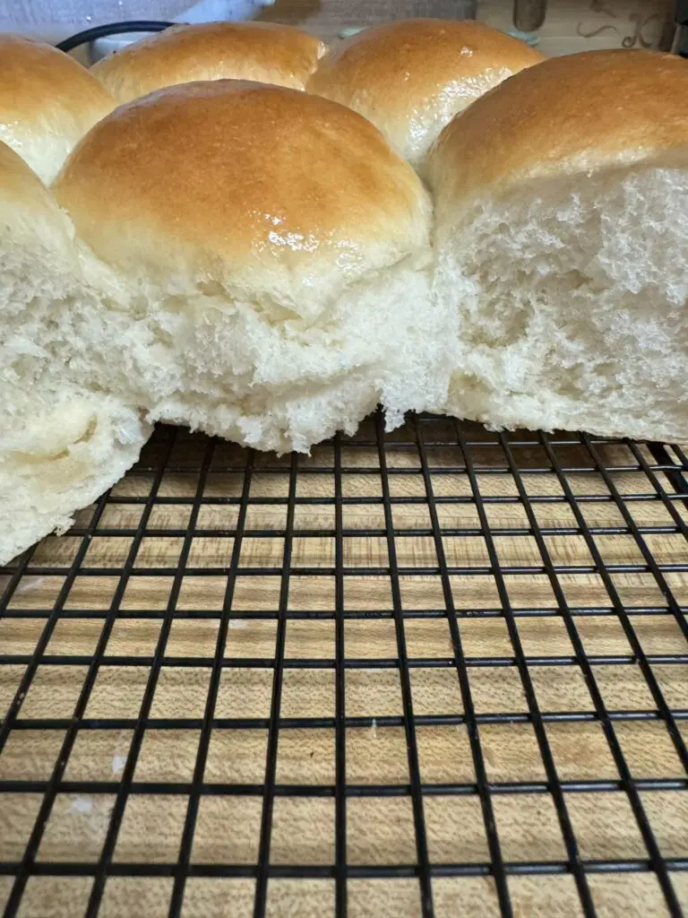 Soft sourdough rolls