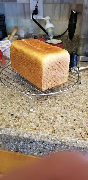 White sandwich bread