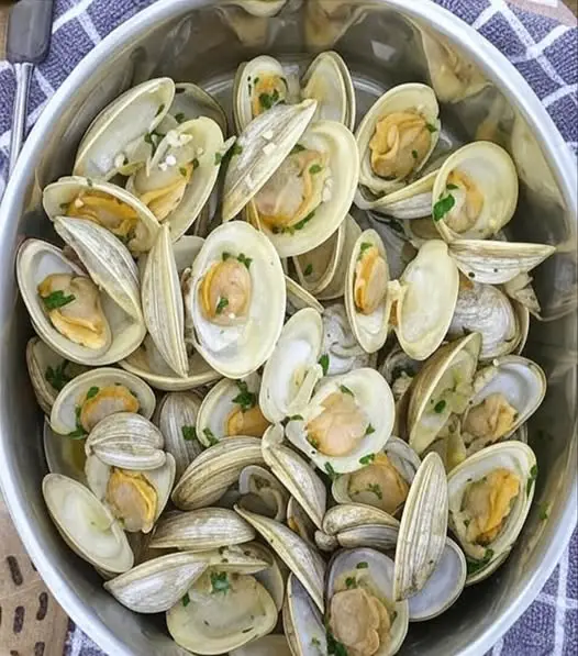 Steamed Clams In Garlic And Wine Broth