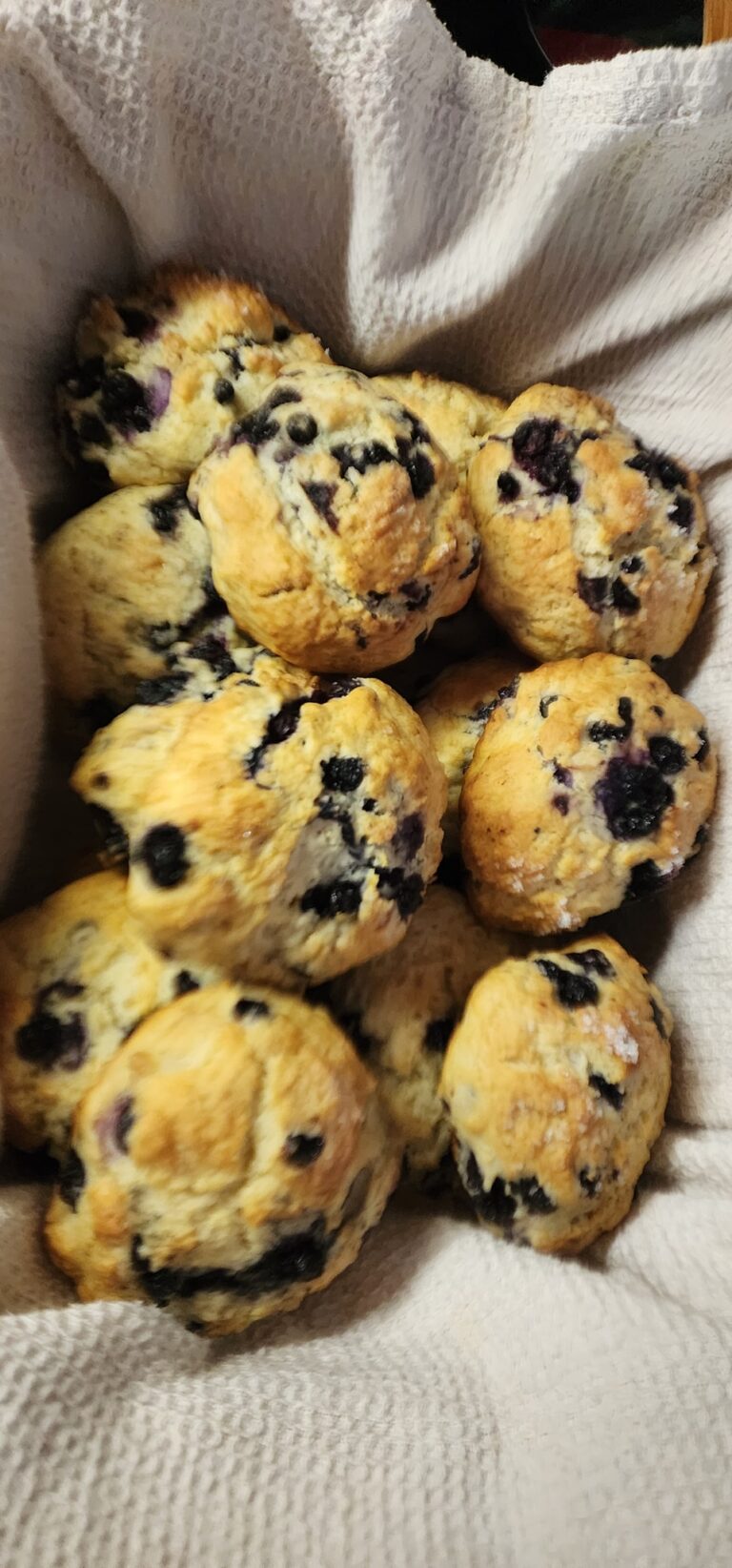 blueberry scones
