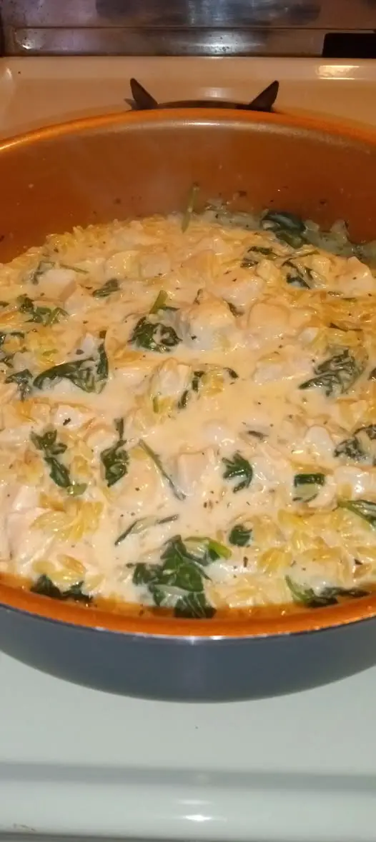 creamy orzo with chicken