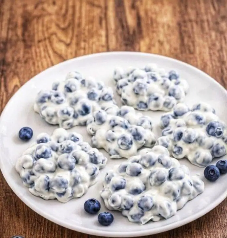 Frozen Blueberry Greek Yogurt Clusters
