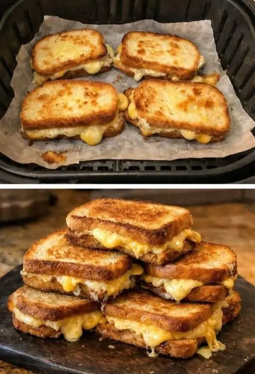 carnivore cheesy sandwich