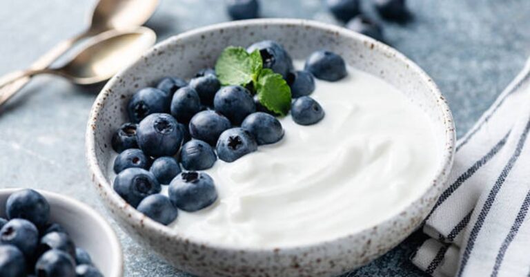 Blueberry Yogurt