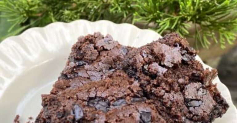 Sourdough Fudgy Brownies