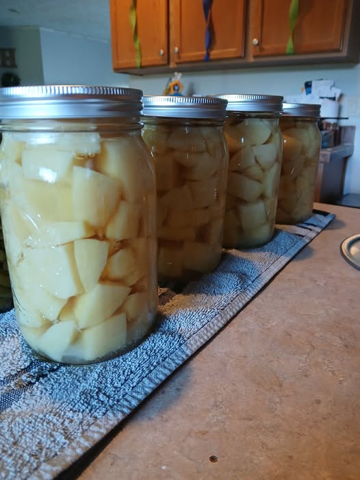 canned potatoes
