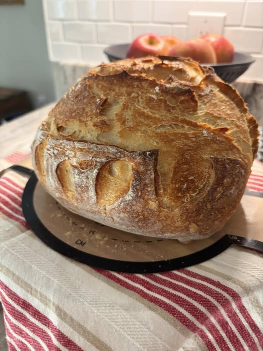 sourdough boule