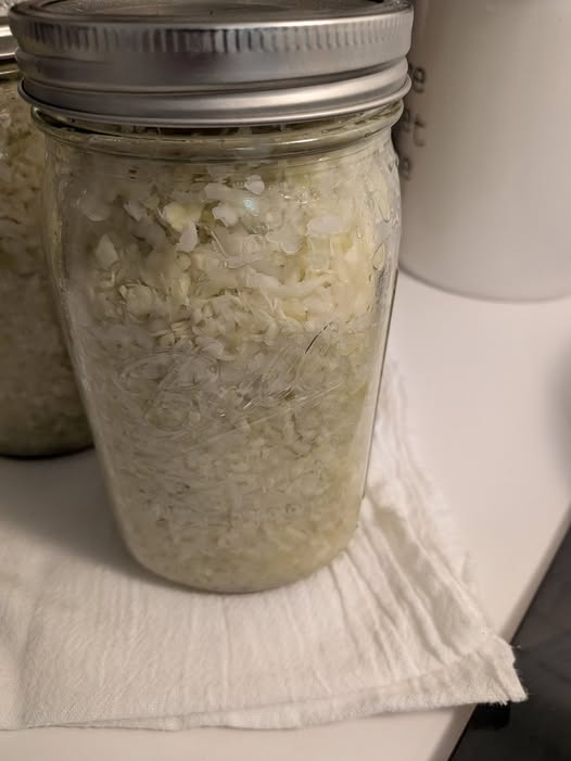 sauerkraut