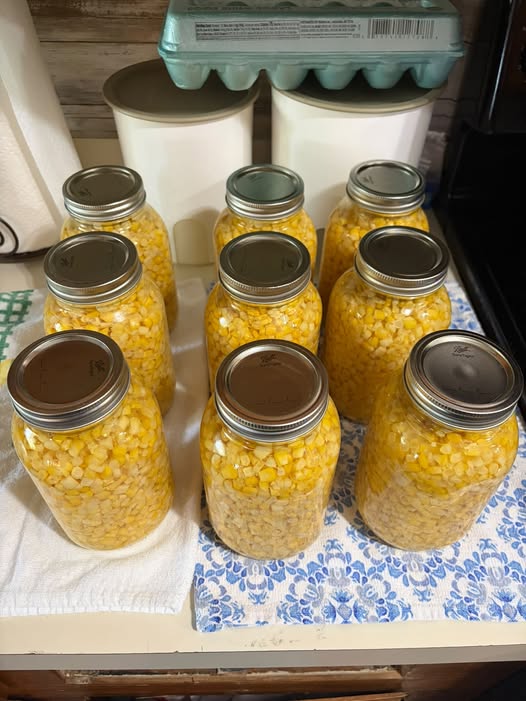 canned sweet corn