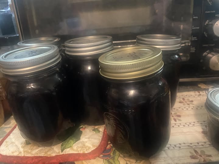 elderberry syrup