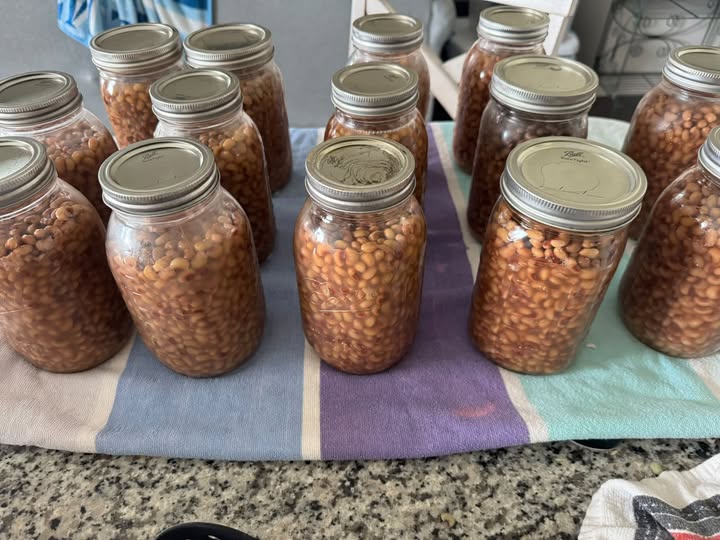 canned beans