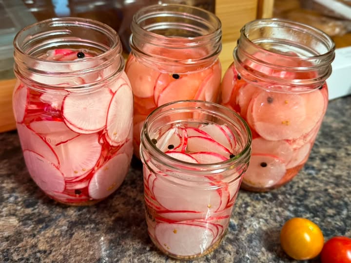 pickled radishes