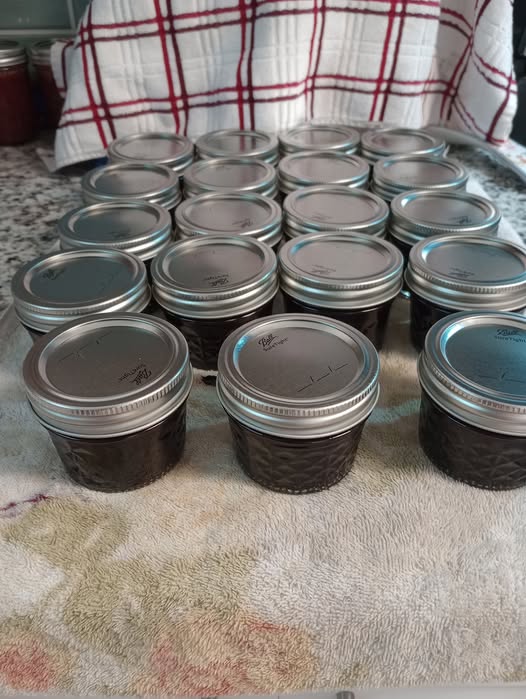 homemade blueberry jam