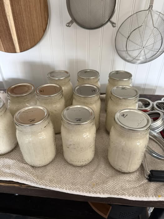 sourdough starter