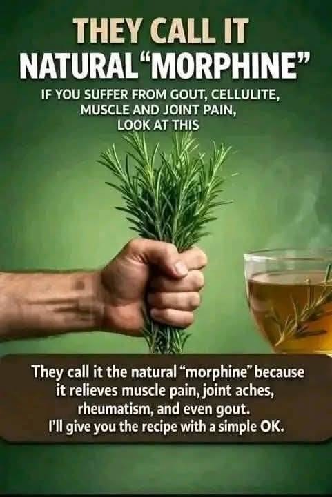 rosemary