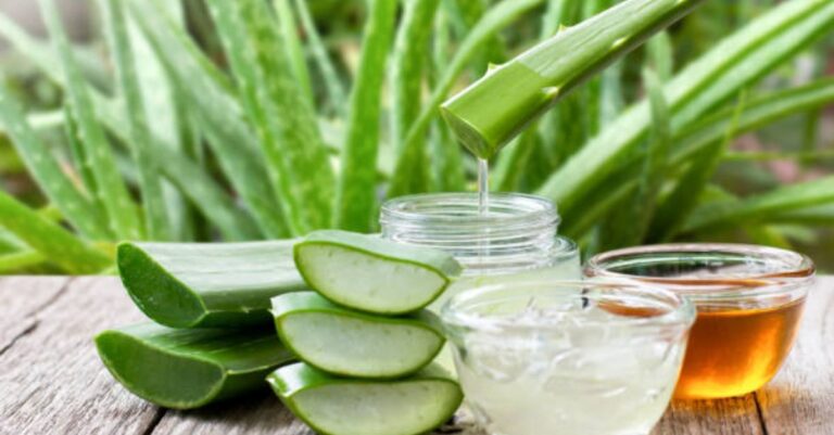 homemade aloe vera oil