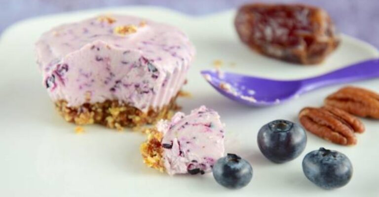 Blueberry Greek Yogurt Bites