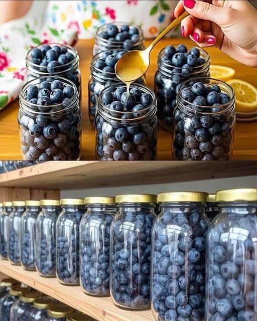 Dry Jar Storage