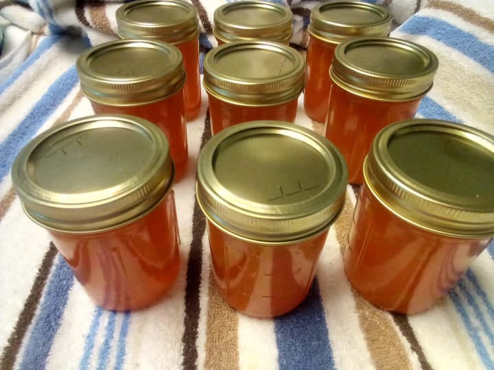 Seville Orange Marmalade