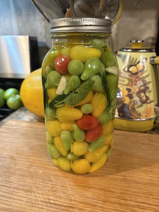 Green Tomatoes