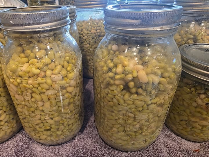 shelled beans