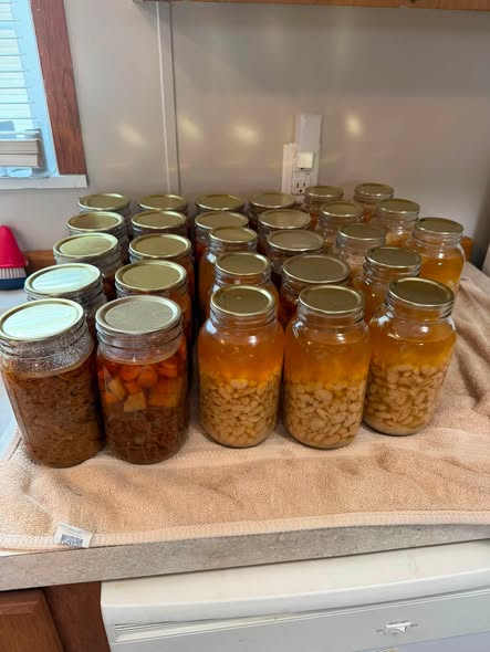 canned ham and bean soup