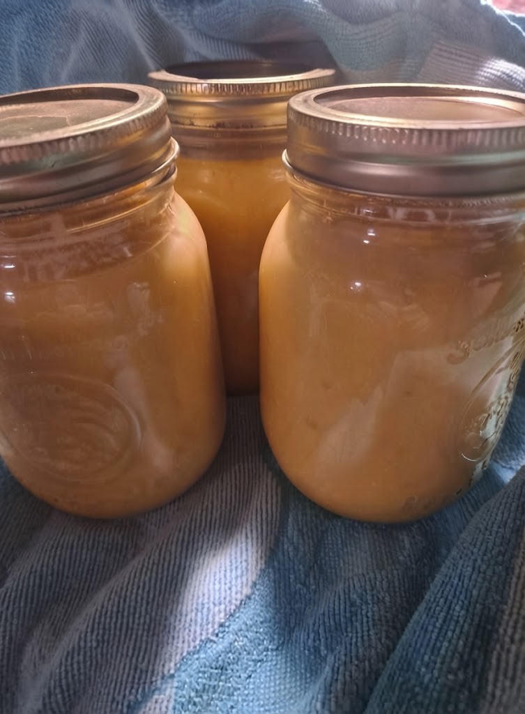 canned applesauce