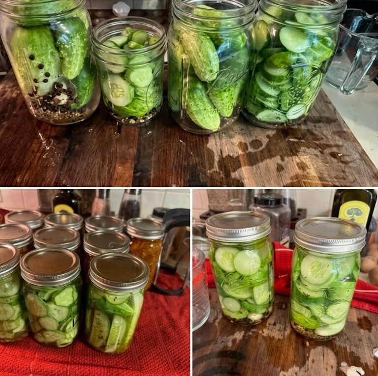 Homemade Garlic Dill Pickles