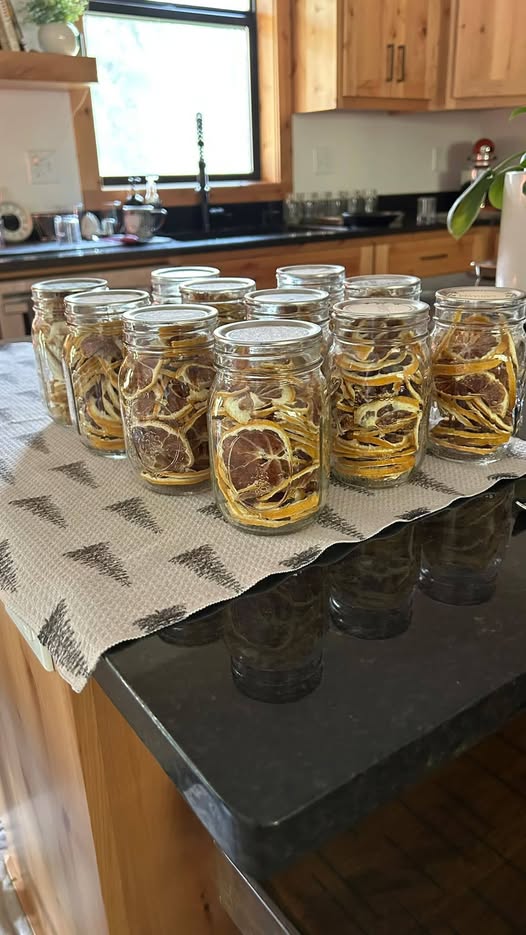 Dehydrated Citrus Wheels