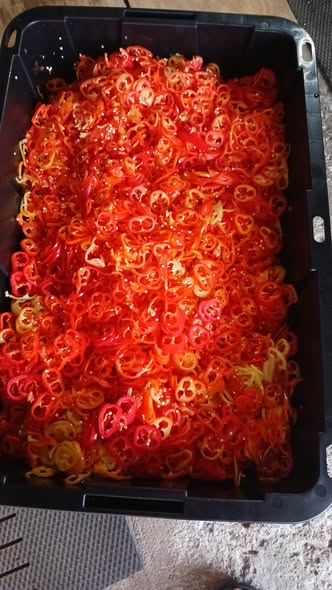 thinly sliced pepper rings