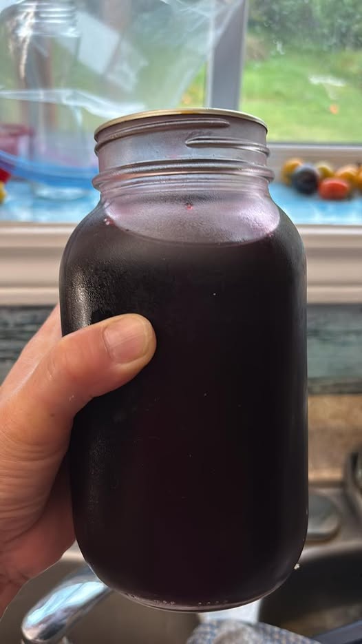 Blueberry Juice