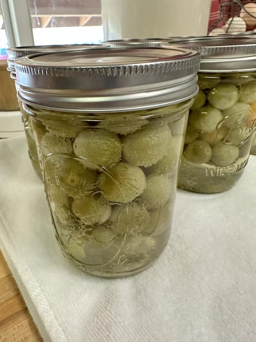 Pickled Green Grapes