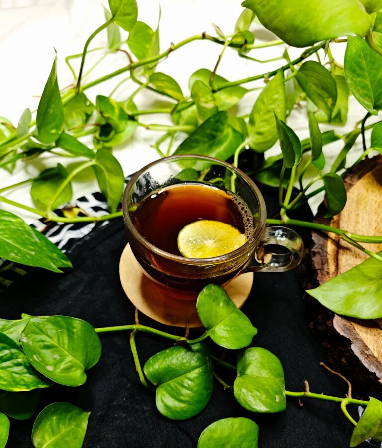 Guava Leaf Tea